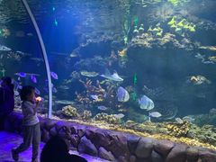 -华夏文旅海洋公园