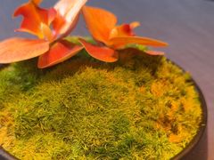 -潇湘楼·二十四节气山野菜(亚运村店)