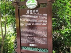 -大屏嶂森林公园