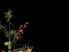 -万禧明珠大酒楼(海丰店)