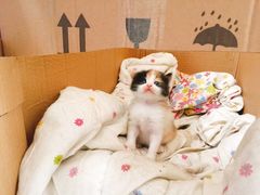 -五月木作·DIY木作文创体验店(北京路店)