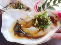 金珍珠法耗-Hatsune隐泉日式料理(三里屯太古里店)