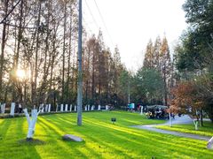 -合肥滨湖国家森林公园