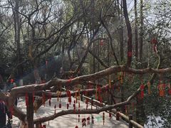 -天目湖山水园