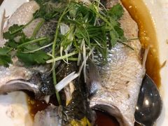 -Lucky Fortune Restaurant(喜运来酒家)