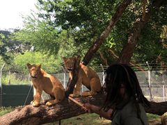 -卡塞拉自然公园