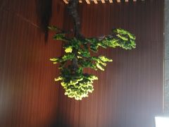 -毗陵醉·黑钻(湖塘店)