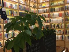 -猫的天空之城概念书店(印象城购物中心店)