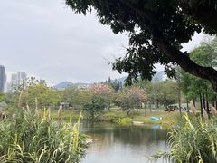 -四海公园(南山区)