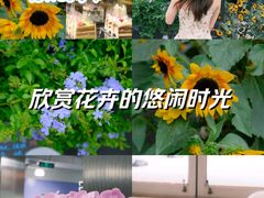 -中粮·祥云小镇