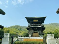 -大唐贡茶院