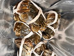 -阳澄湖大闸蟹·琼灵阁牌品牌连锁(吴中总店)