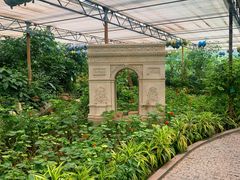 -南宫五洲植物乐园