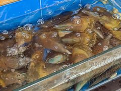 -东森家宴·惠州客家菜