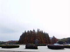 -紫金山山顶公园