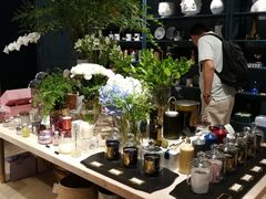 -BEAST野兽派(上海浦东嘉里城店)