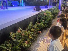 -渔家火锅·海鲜自助餐·演艺(亚龙湾天域酒店)