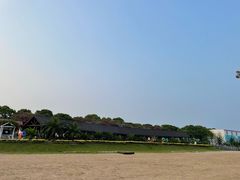-碧海金沙