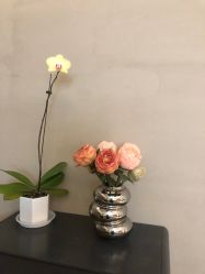 -KONSISTANT科思坦汀问题肌·科技美肤