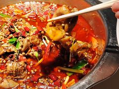 -宽口美蛙鱼头(大唐西市店)