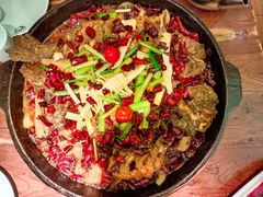 -老板恋上鱼(荣盛广场店)