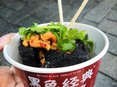 -黑色经典臭豆腐·湖南特产(坡子街特产局店)