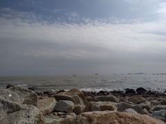 -野狸岛