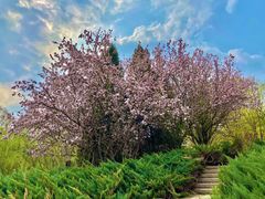 -元大都城垣遗址公园