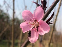-上海市龙华烈士陵园