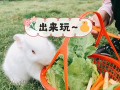 -前小桔亲子创意农场·草莓采摘·露营烧烤