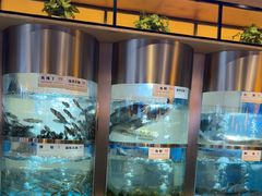 -老船舫·现做活鲜鱼馆(东郊记忆店)