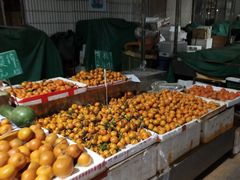 -福田农产品批发市场有限公司蔬菜交易区