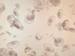 -沈阳海洋探索中心