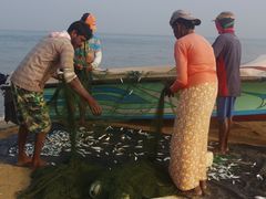 -尼甘布海鲜市场