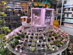 -KKV(深圳kk one 店)