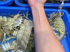 -吴记富苑(朝阳店)