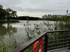 -昆山城市生态森林公园