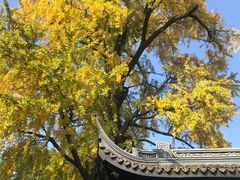 -惠山古镇·寄畅园