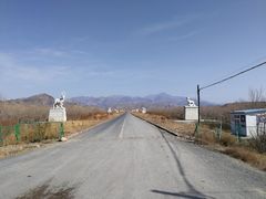 -新疆天山野生动物园