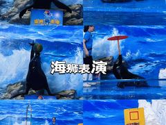 -左海海底世界