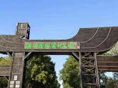 -溱湖国家湿地公园