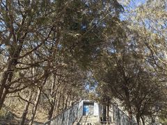 -白水寺森林公园