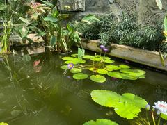 -国家植物园南园