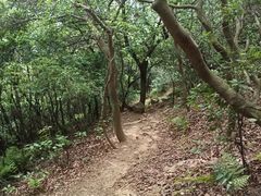 -食客三千·老家