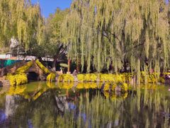 景点-沈阳中山公园