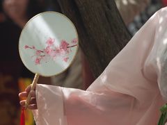-嘉定紫藤园