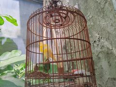 -杨记小炒老店