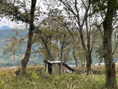 -楠溪江风景名胜区