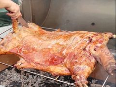 -WE ME 伴山营地·城市露营·团建策划