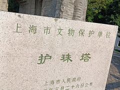 -上海佘山国家森林公园天马山园